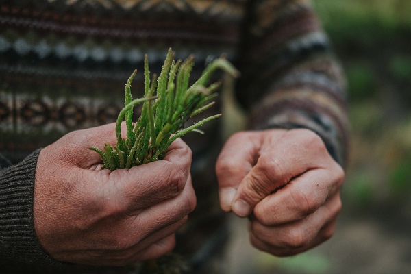 Miestų Partnerystės Priemonės Projektų 2018 M 1 Ojo Etapo Rezultatai Naujienos Europa Pilieciams